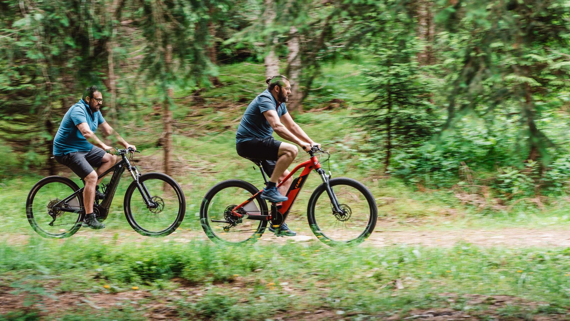 Tour in bici Due uomini in mountain bike su sentiero nel bosco