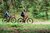 Zwei Männer fahren Mountainbike auf Waldweg