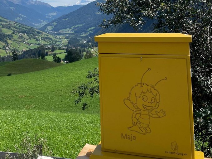 Unsere fleißigen Bienchen Gelber Bienenstock mit Comicbiene vor grüner Berglandschaft