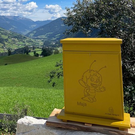 Neuigkeiten Gelber Bienenstock mit Comicbiene vor grüner Berglandschaft