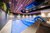 Galleria immagini Piscina interna con figura di delfino blu, soffitto in legno e parete verde