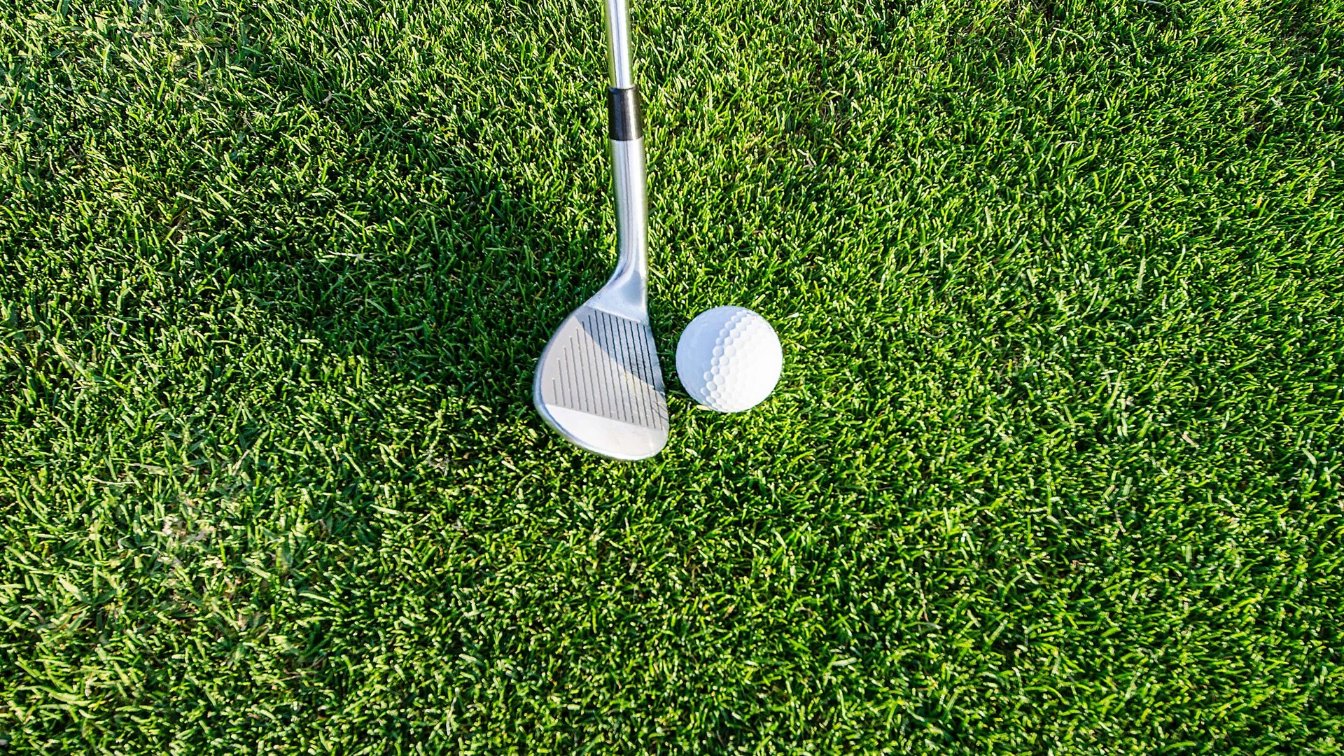 Golfball neben Golfschläger auf grünem Gras