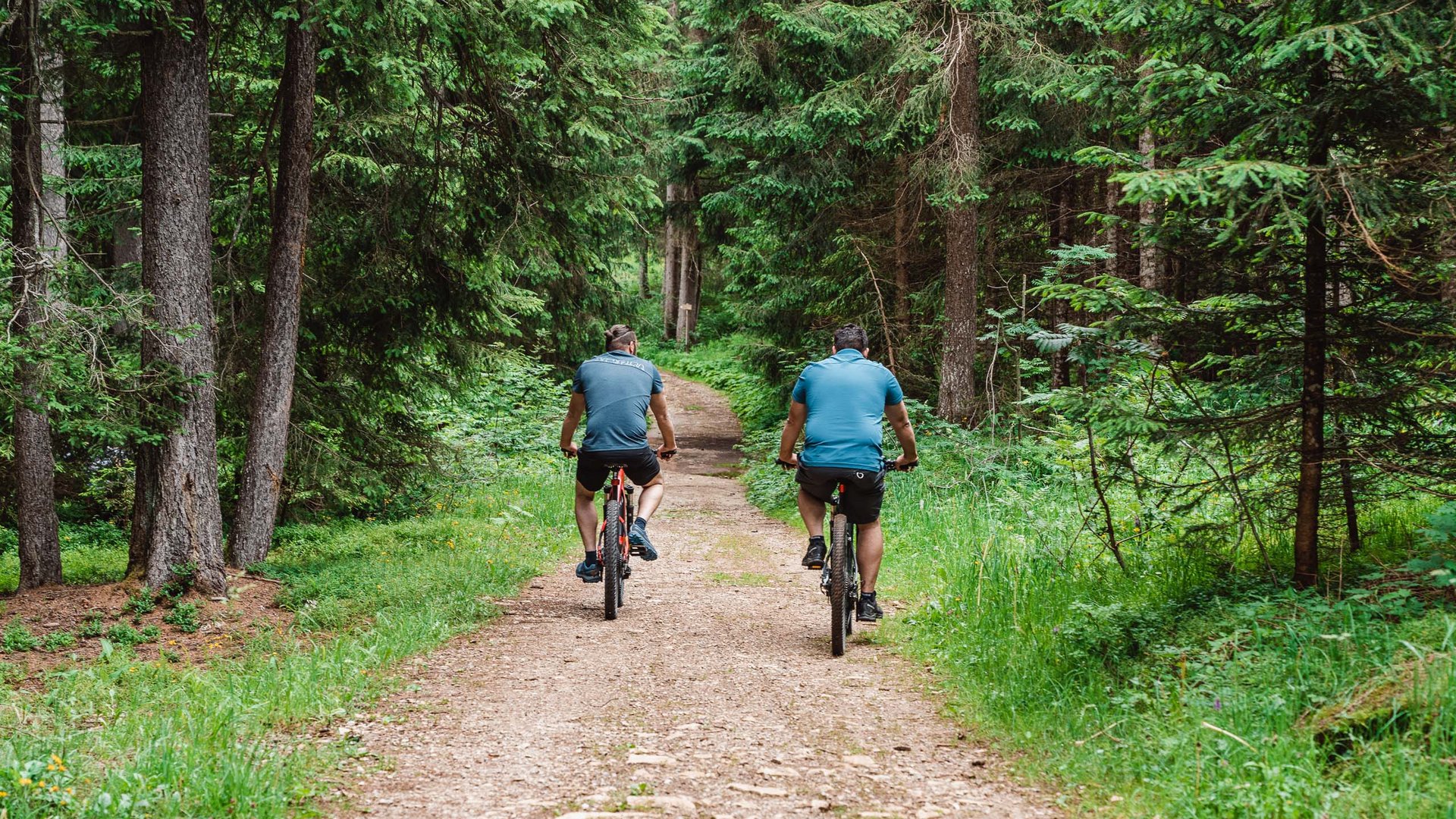 Tour in bici Due uomini vanno in mountain bike su un sentiero nel bosco