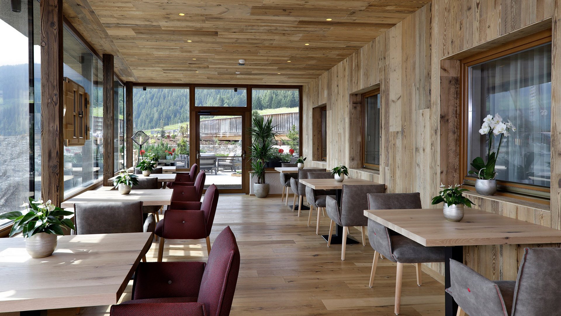Sapori caffè luminoso in legno con sedie rosse e grigie con vista sulle montagne