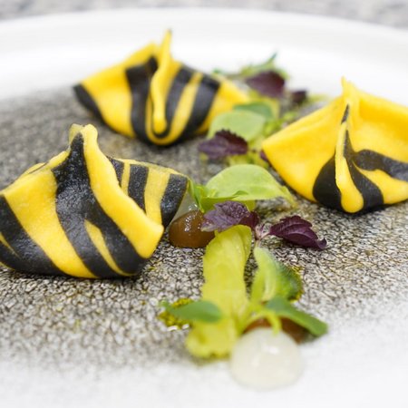 Neuigkeiten Kunstvoll angerichtete gelb-schwarze Nudeln mit Kräutern auf Teller