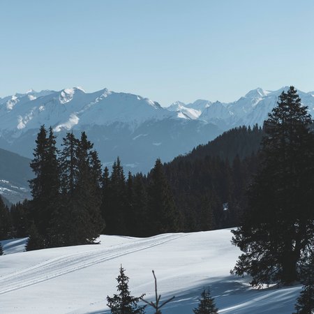 La Val Ridanna Paesaggio innevato con pini e montagne sotto un cielo azzurro limpido
