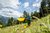 Frau wandert mit Trekkingstöcken auf blumenreichem Bergweg bei Sonnenschein