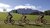 Drei Radfahrer fahren auf einem Weg vor Bergpanorama und Wiesen