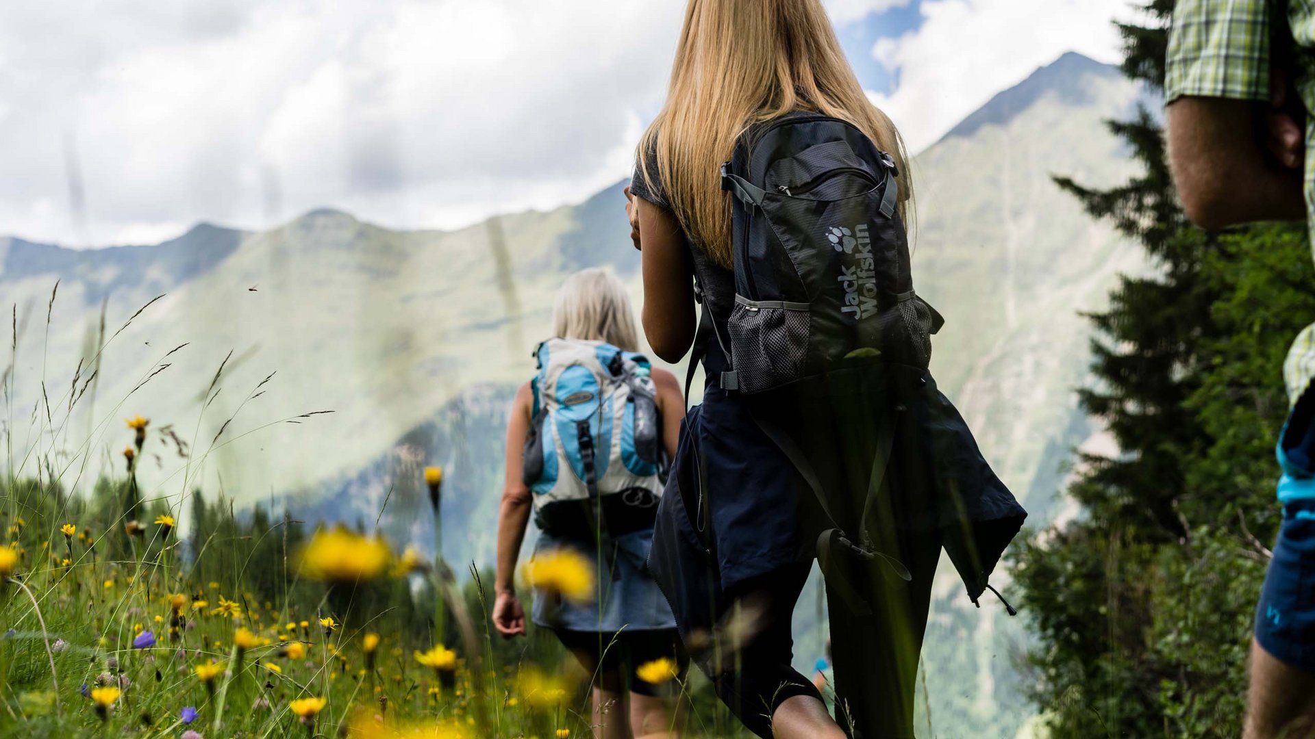Summer hiking People hiking on a flower-filled mountain trail with backpacks